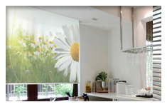 Roller Blinds in Vanasthalipuram