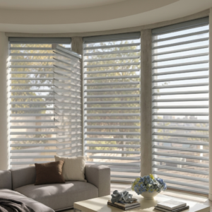 Silwet Blinds in Vanasathalipuram