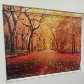 Printed Blinds