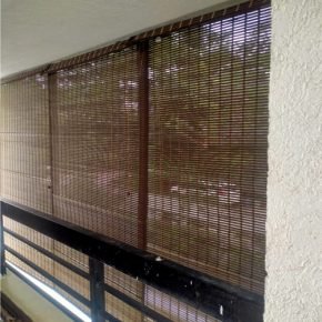 Chick Blinds