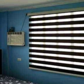 Zebra Blinds