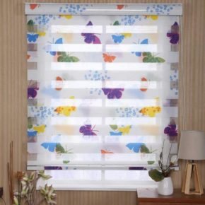 Customized Zebra Blinds